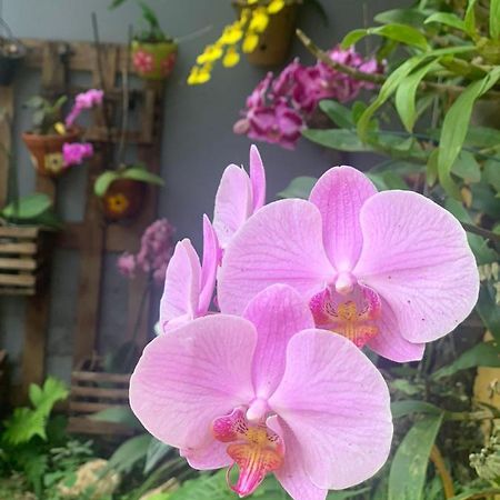 Casa Das Flores Chapada dos Guimarães Εξωτερικό φωτογραφία